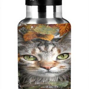 Bouteille deau métal KLL isolation double paroi 946ml sport
