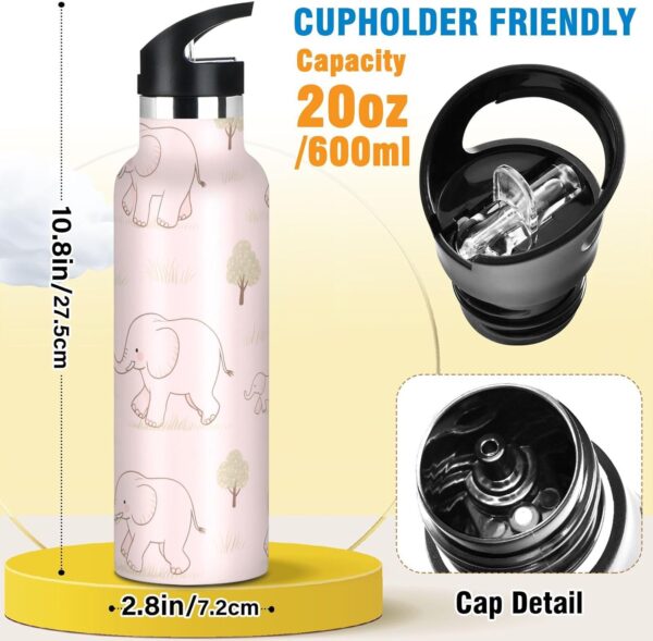 Bouteille isotherme Siphylline double paroi sport vélo-1