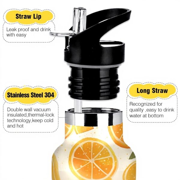 Bouteille isotherme siphylline Orange Citron 600ml acier