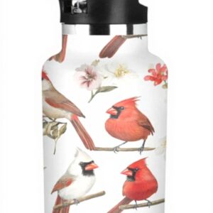 Bouteille isotherme Funny Birds Linqin acier inoxydable