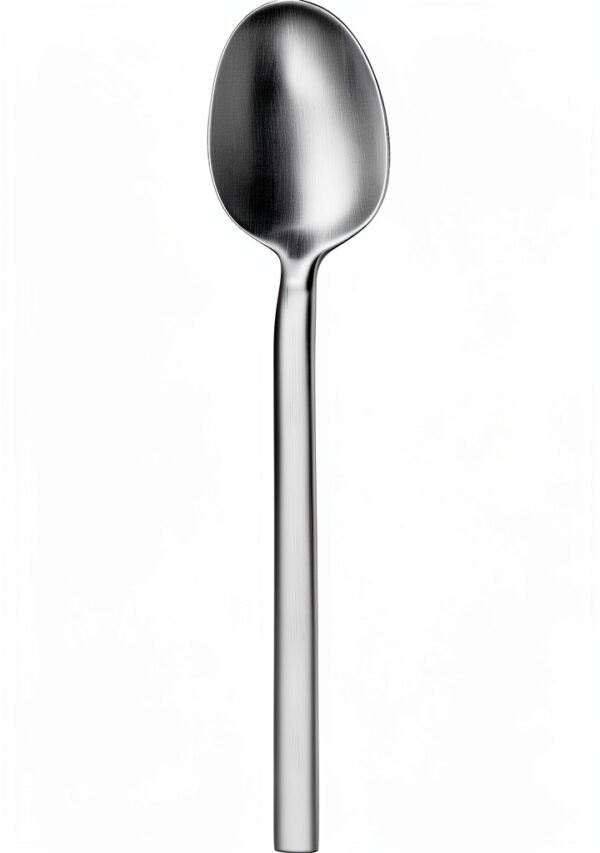 WMF Service à 4 Couvertures en Acier Inoxydable Cromargan Argent – 60-5
