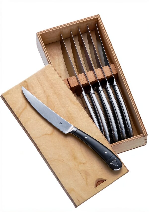 Couteaux à viande WMF 12.8961.6046 – Set 6 pièces argent inox 9 cm-0